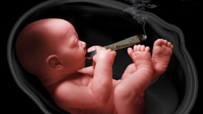 image - marijuana and the fetus